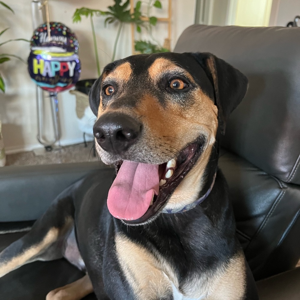 Meet your Posher, Russ evan